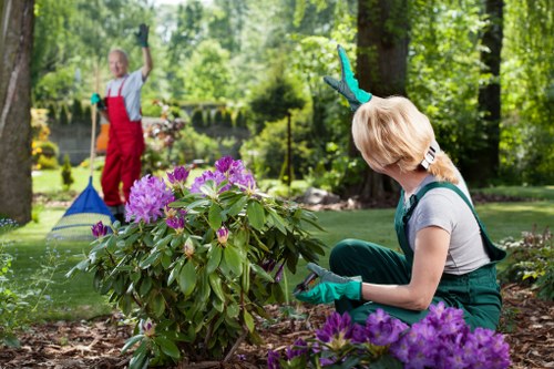 Garden waste being sorted for recycling in Hither Green