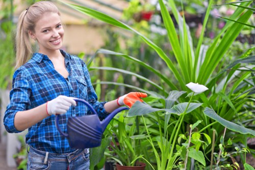 Responsible garden maintenance with safety controls in place
