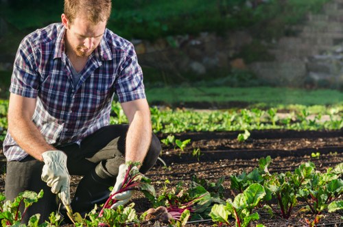 Gardeners in Hither Green improving a neat urban garden
