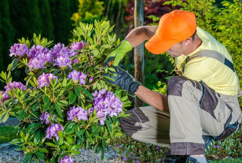 Patio cleaning service restoring a paved garden area in Hither Green