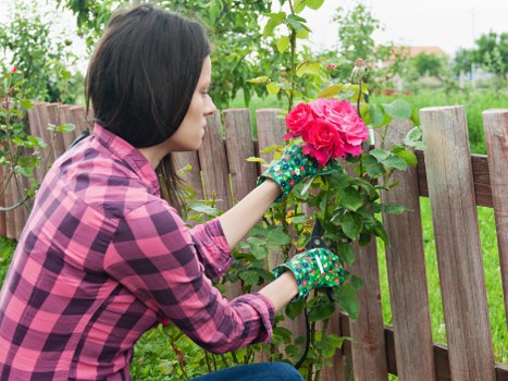 Final resolution stage of a garden service complaint