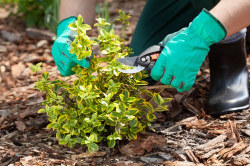 Professional review of a gardening maintenance complaint