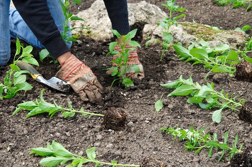 PCI compliant payment area for garden services