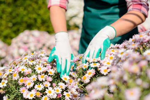 Reusable garden items collected for charity partnership donation
