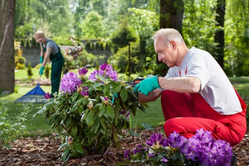 Professional lawn care in Hither Green creating a greener, healthier garden