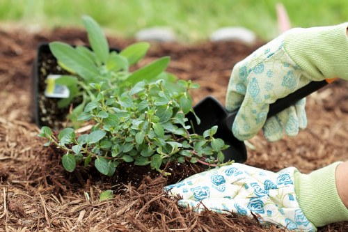 Professional gardener preparing a tidy garden area for service