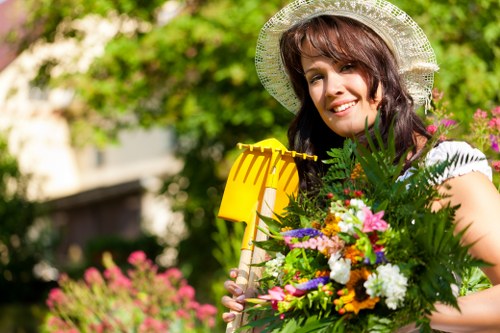 Professional lawn mowing and edging in Hither Green