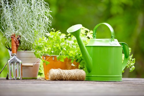 Neat hedges and lawn care for a Hither Green property