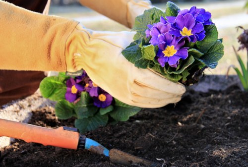 Low-carbon van used for sustainable garden maintenance