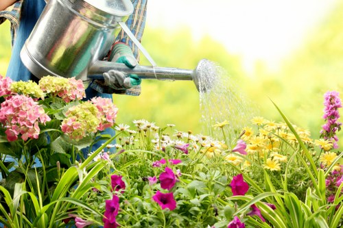Hither Green garden upkeep creating a balanced and attractive outdoor space
