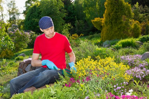 Professional Hither Green gardeners caring for outdoor spaces