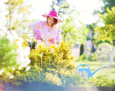 Ethical supply chain checks for gardeners in Hither Green