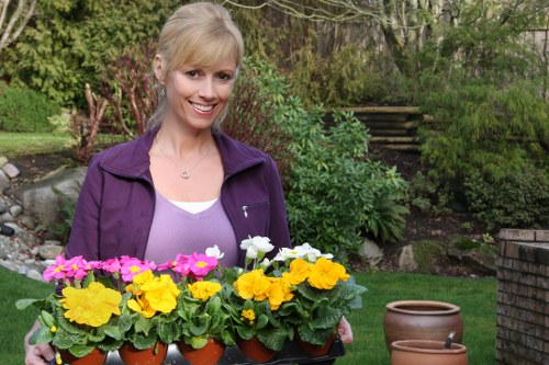 Gardeners Hither Green supporting long-term garden maintenance