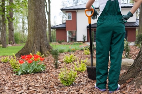 Seasonal lawn maintenance in Hither Green with feeding and mowing routine