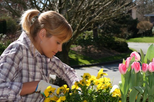 Staff training and PPE used by gardeners in Hither Green