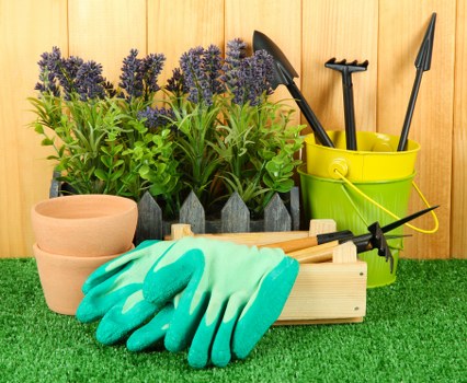 Professional gardeners in Hither Green preparing a tidy back garden