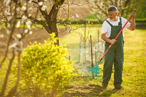 Local gardener carrying out hedge trimming and garden maintenance in Hither Green