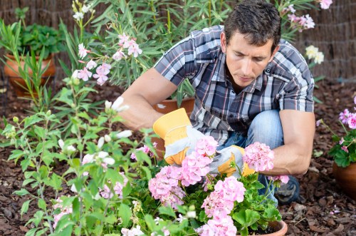 Garden waste and debris removal in a Hither Green backyard