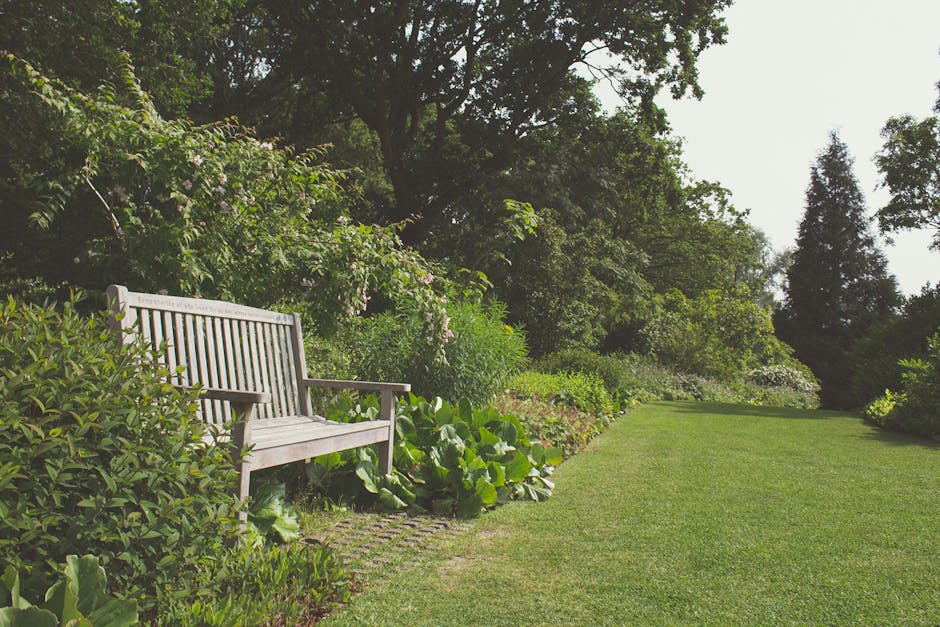A serene garden scene featuring a neatly trimmed green lawn bordered by a variety of lush plants and shrubs. To the left, there is a light-colored wooden garden bench placed on a small paved area, sur